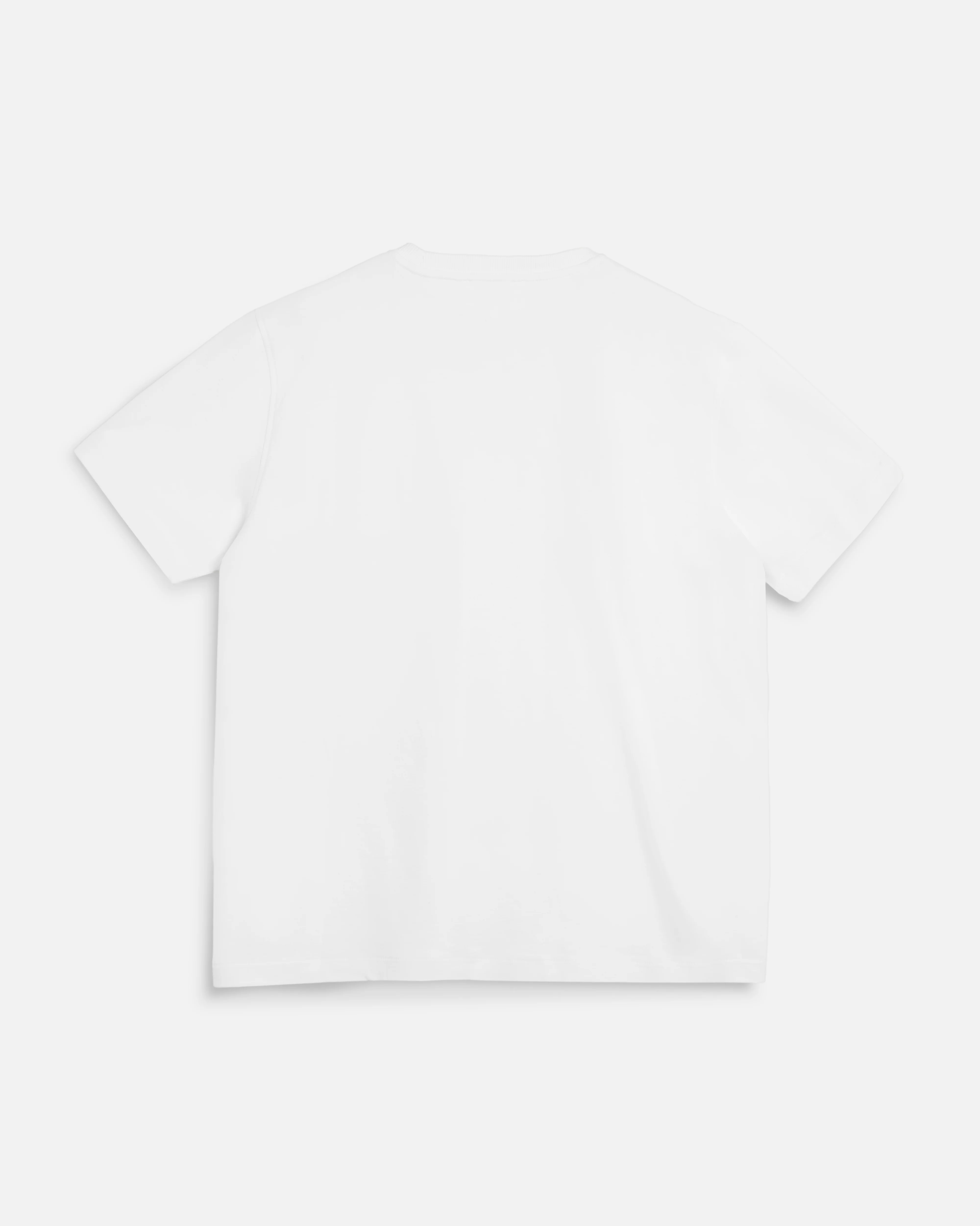Earth Wild Ones T-Shirt - Image 6